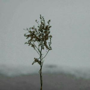 边打电话边被cao
